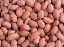 تصویر 3 از فروش بادام زمینی شور و طعم‌ دار عمده